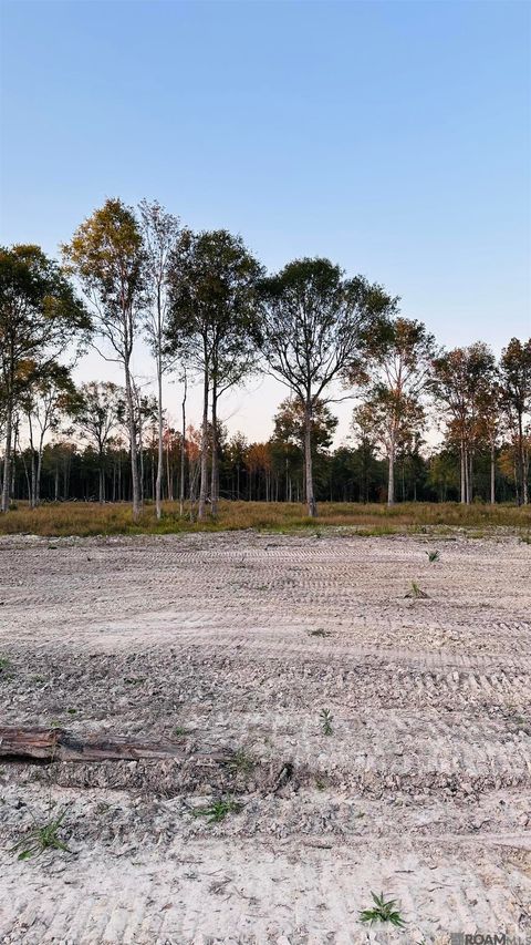 Vacant Land For Sale - 16393 Peacock Drive<br/> Walker, LA 70785