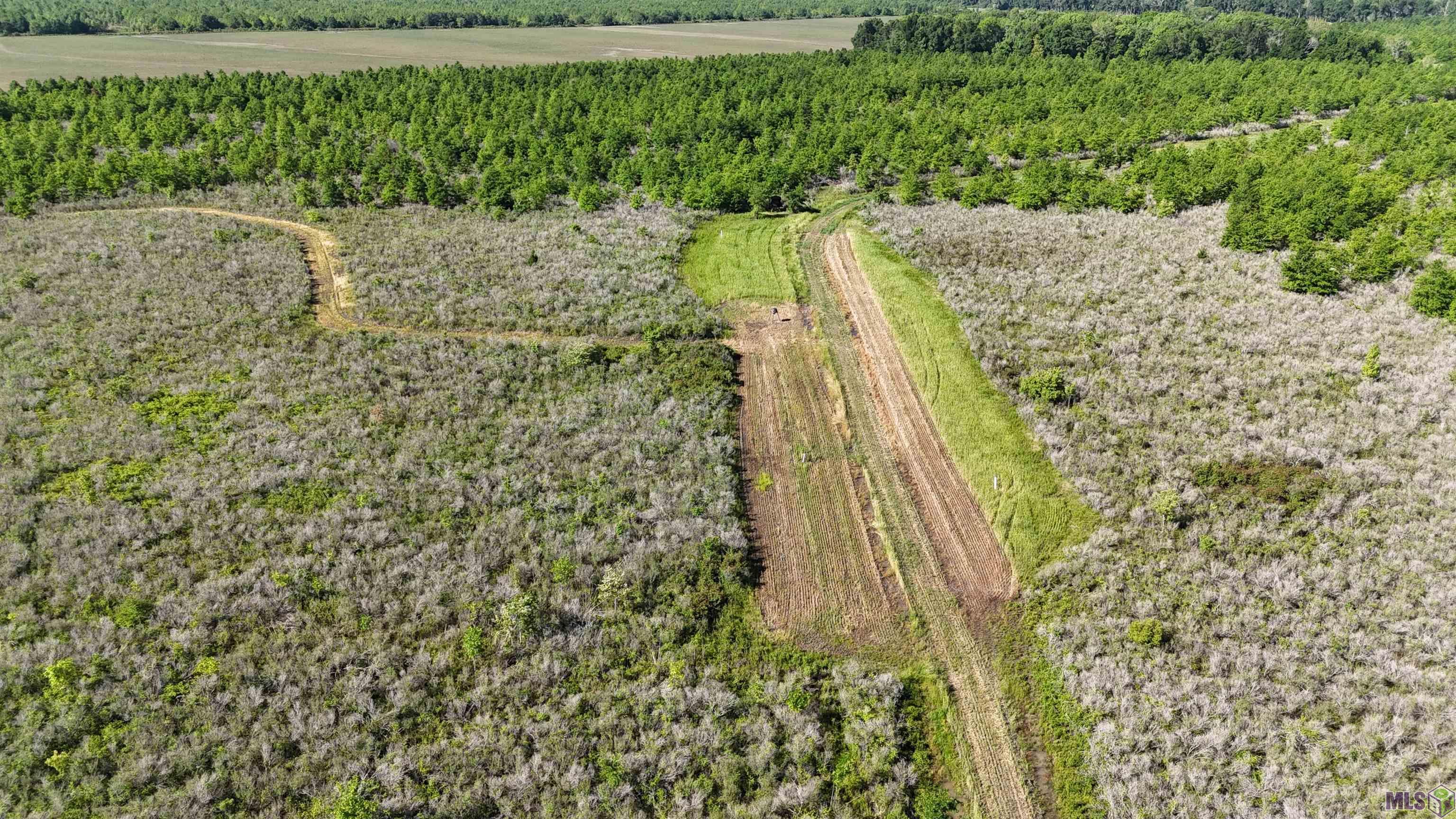 10080 La Hwy 129, Monterey, Louisiana image 3