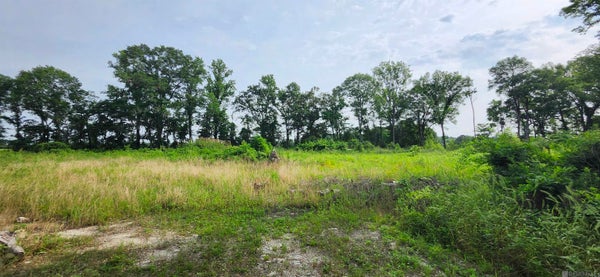 1-X-2 GRIFFIN CT, BAKER, LA 70714 - Image 54aa47adbb7520a82a0320d976e7d84e/3389846304