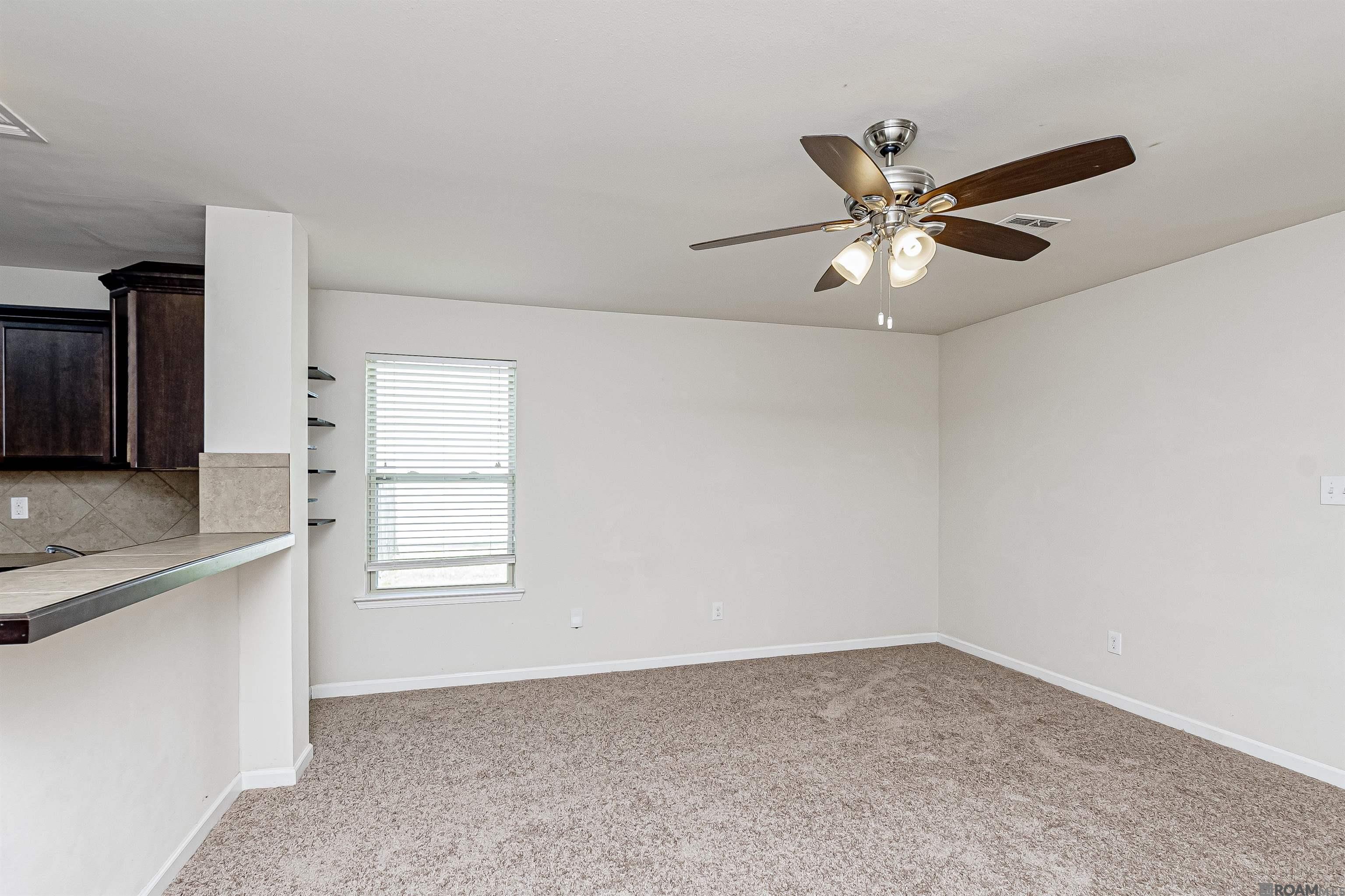 35057 Rayville Dr, Denham Springs, Louisiana image 5