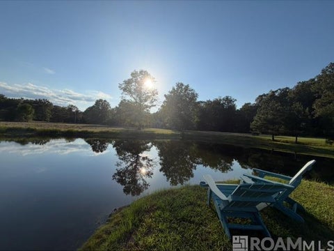 Vacant Land For Sale - 4420 Gilead Rd<br/> East Feliciana County, Clinton, LA 70722