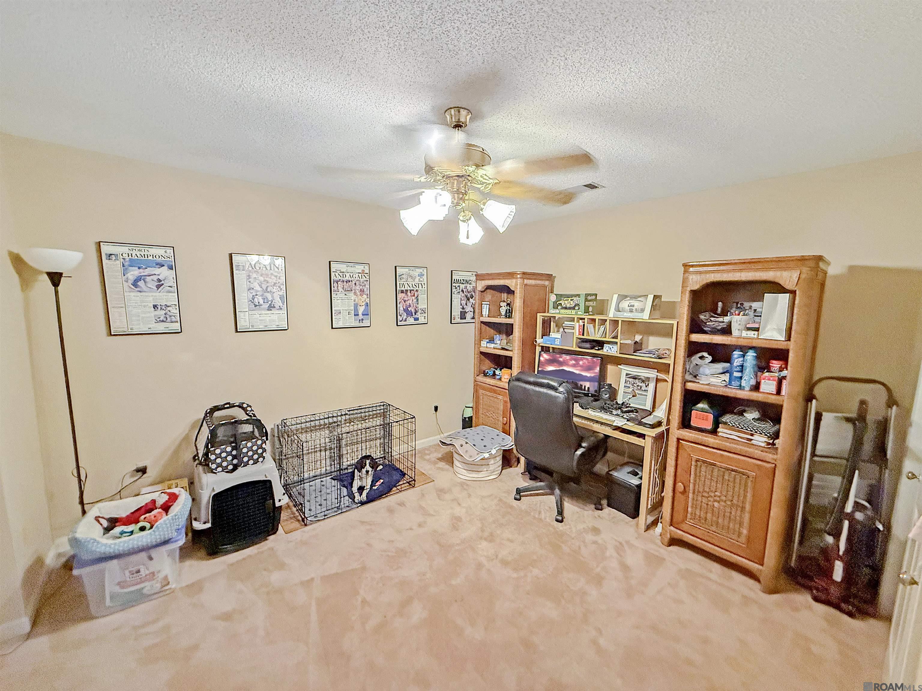 12495 Coursey Bl Blvd, Baton Rouge, Louisiana image 16