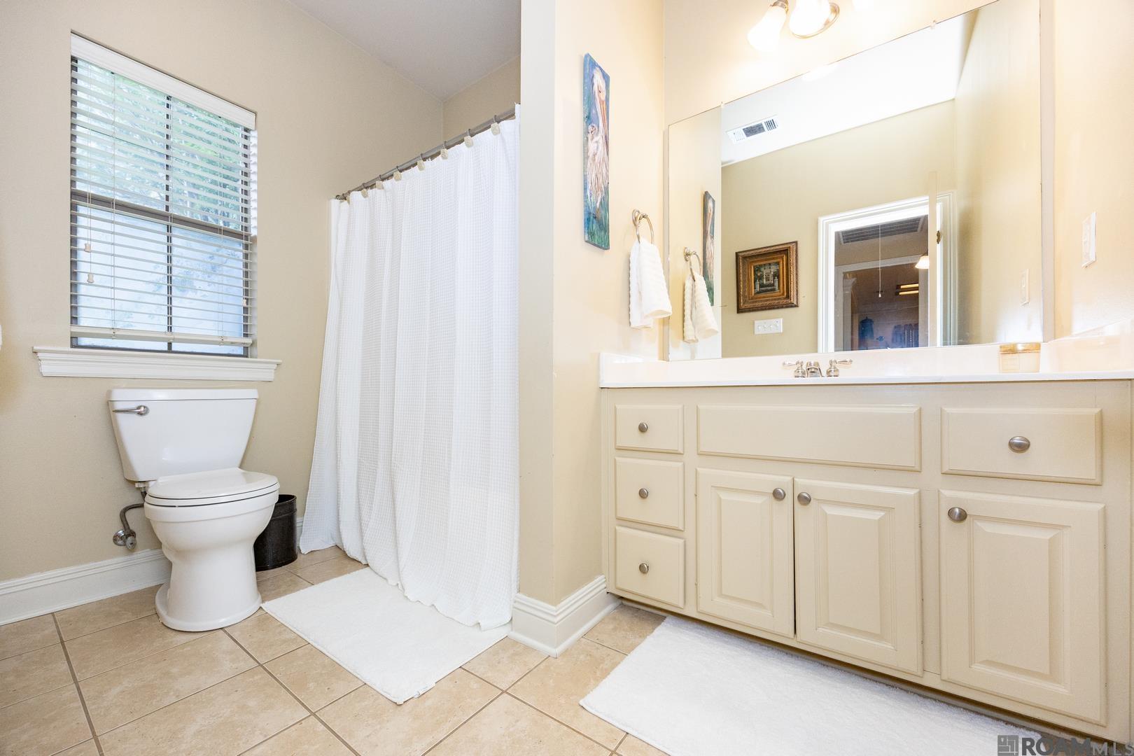 12412 Mill House Dr, Geismar, Louisiana image 22