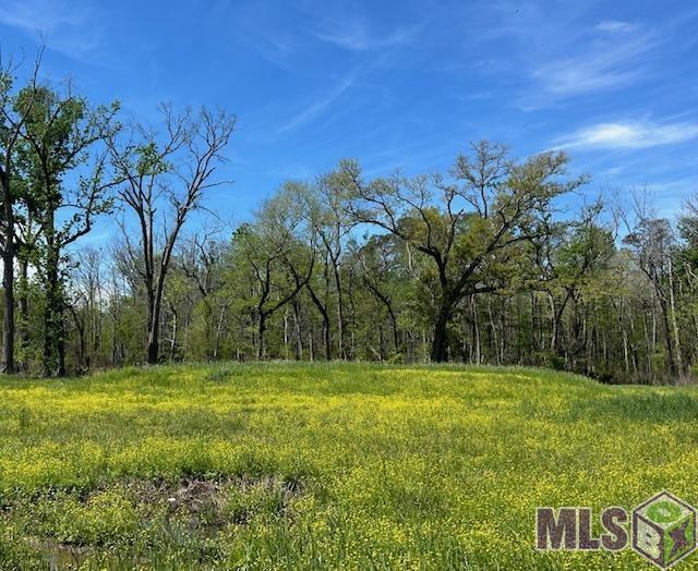 13023 Bluff Rd, Geismar, Louisiana image 1