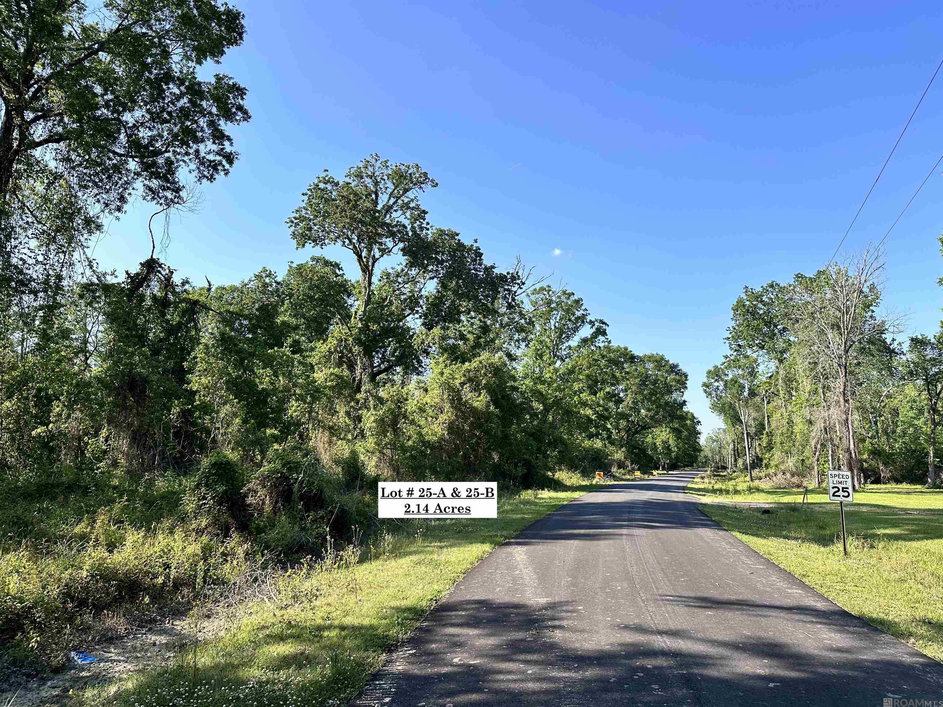 Lot#25-A & 25-B Summerfield South Rd, Prairieville, Louisiana image 1