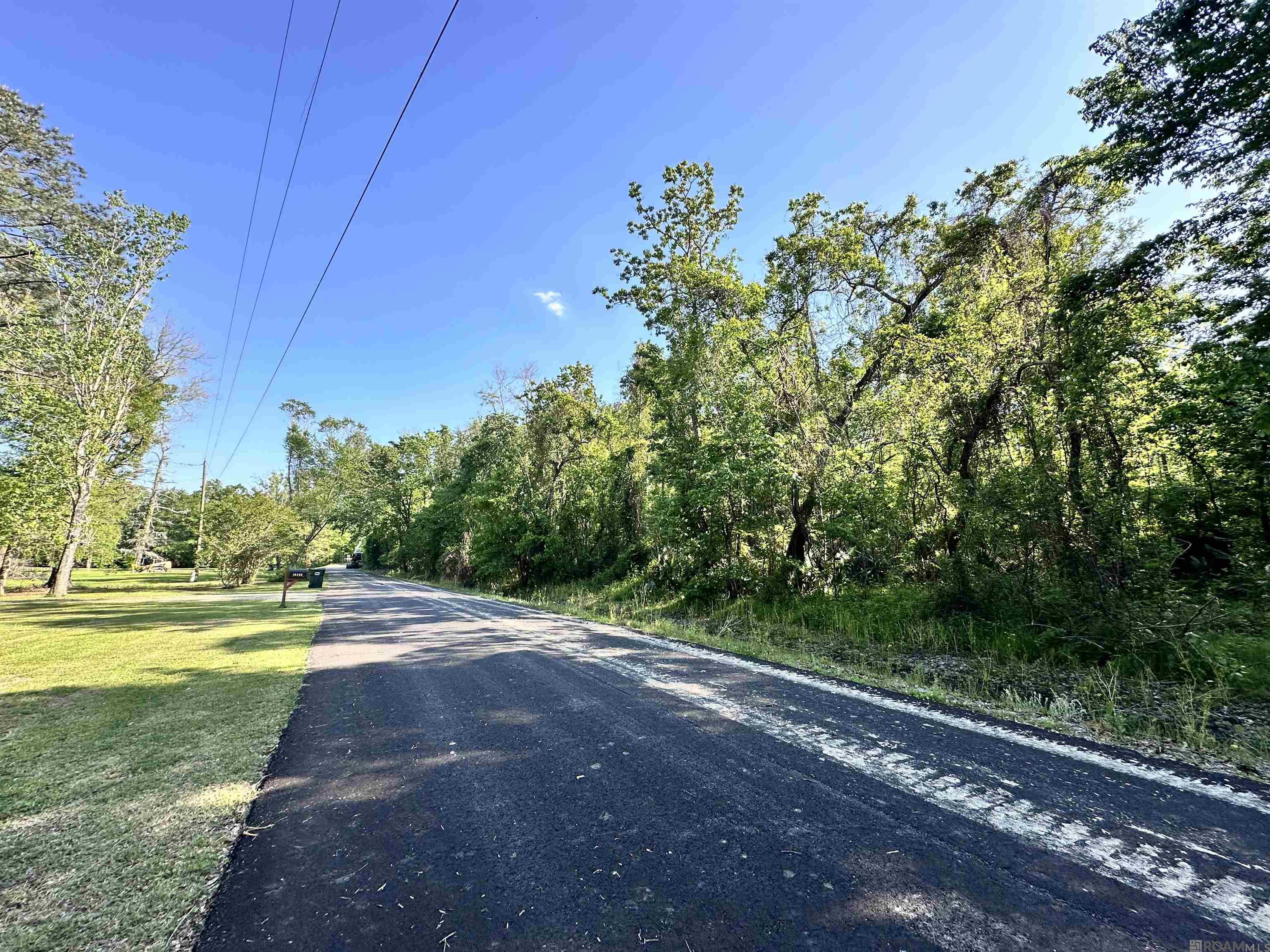 Lot#25-A & 25-B Summerfield South Rd, Prairieville, Louisiana image 4