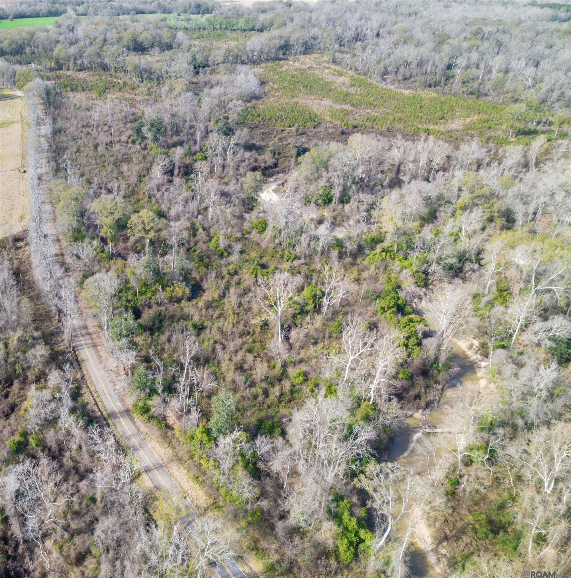 12 Acres Lemon Rd, Slaughter, Louisiana image 3