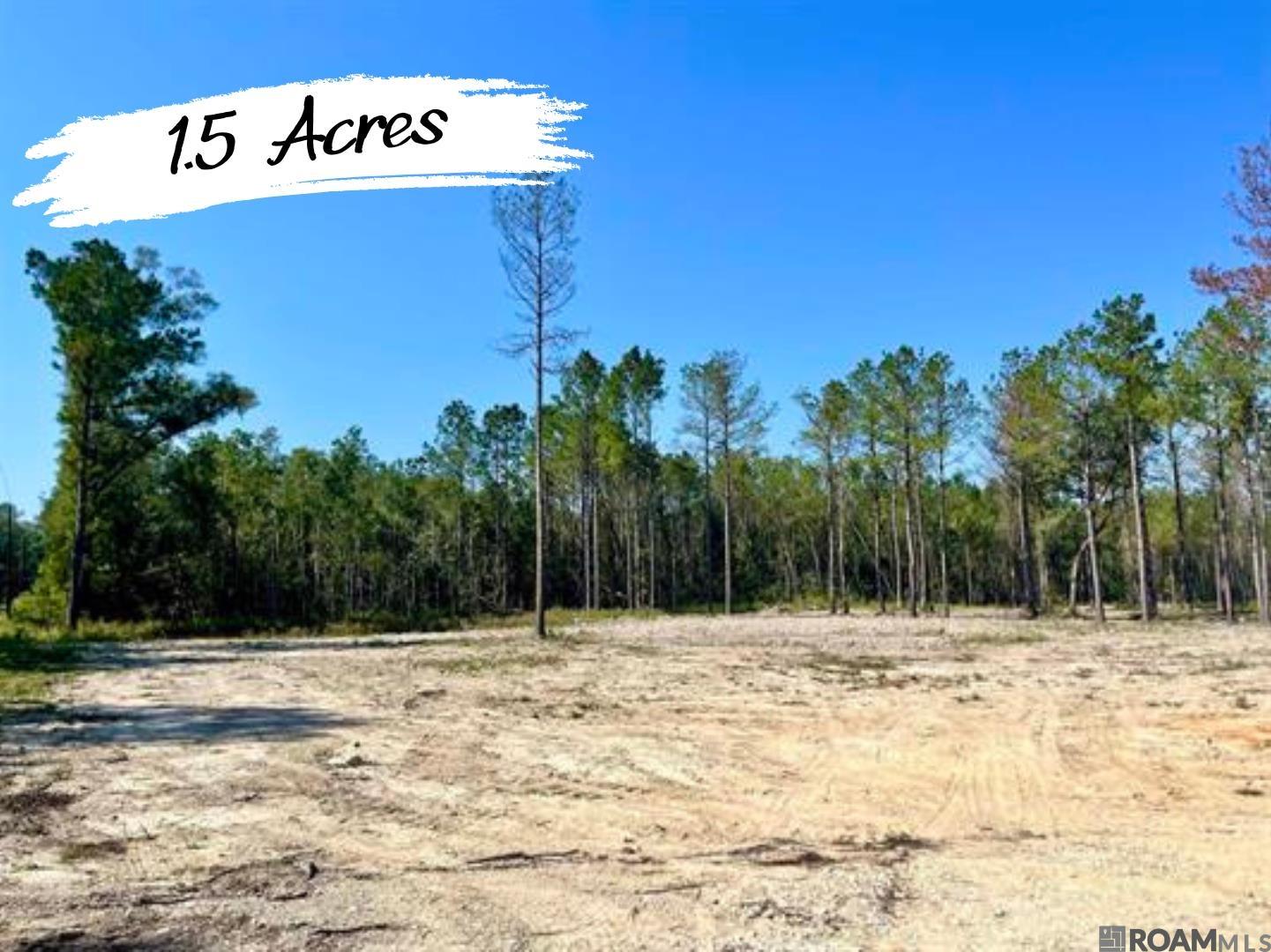 29581 George White Rd, Holden, Louisiana image 1