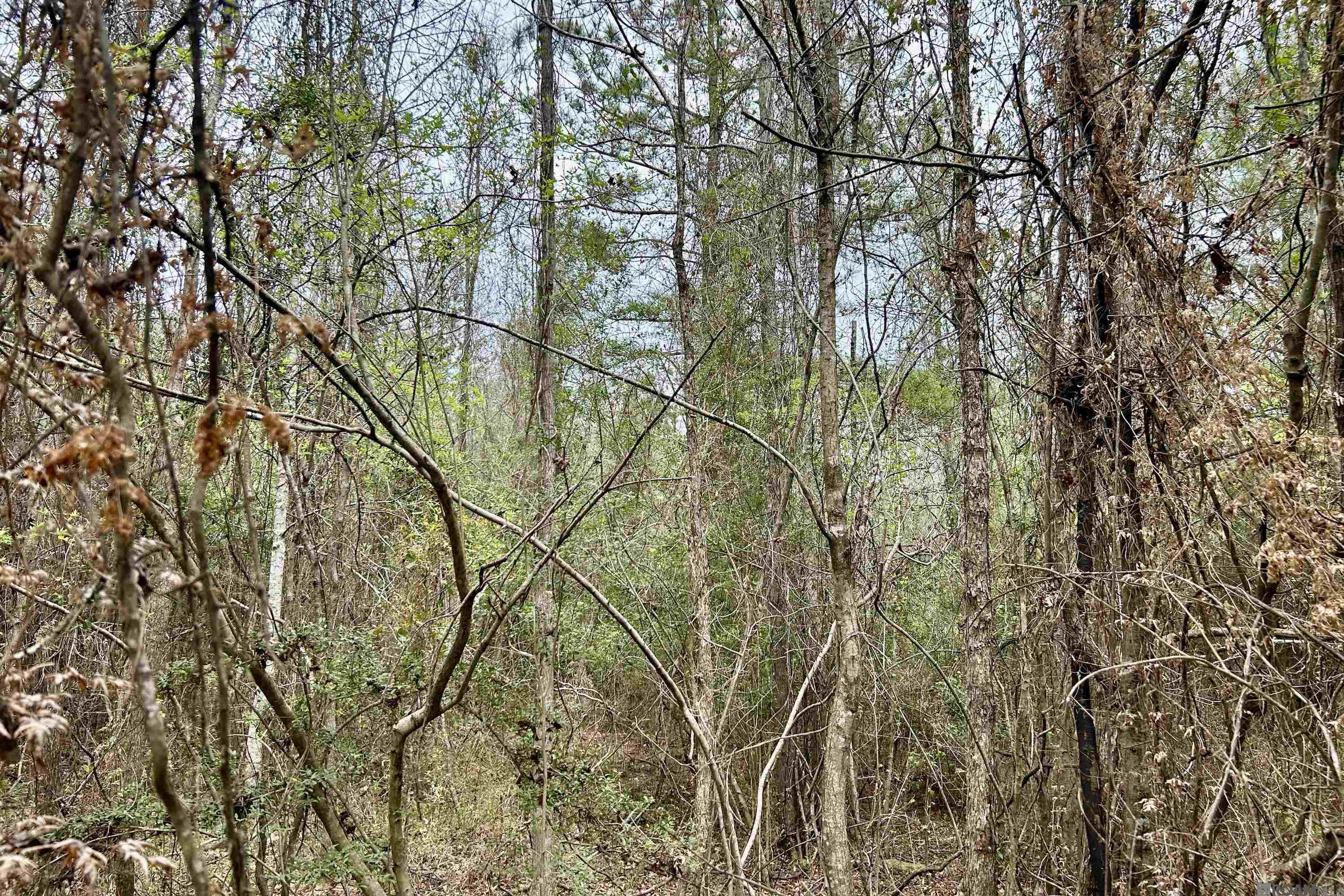 15 La Hwy 960, Clinton, Louisiana image 4