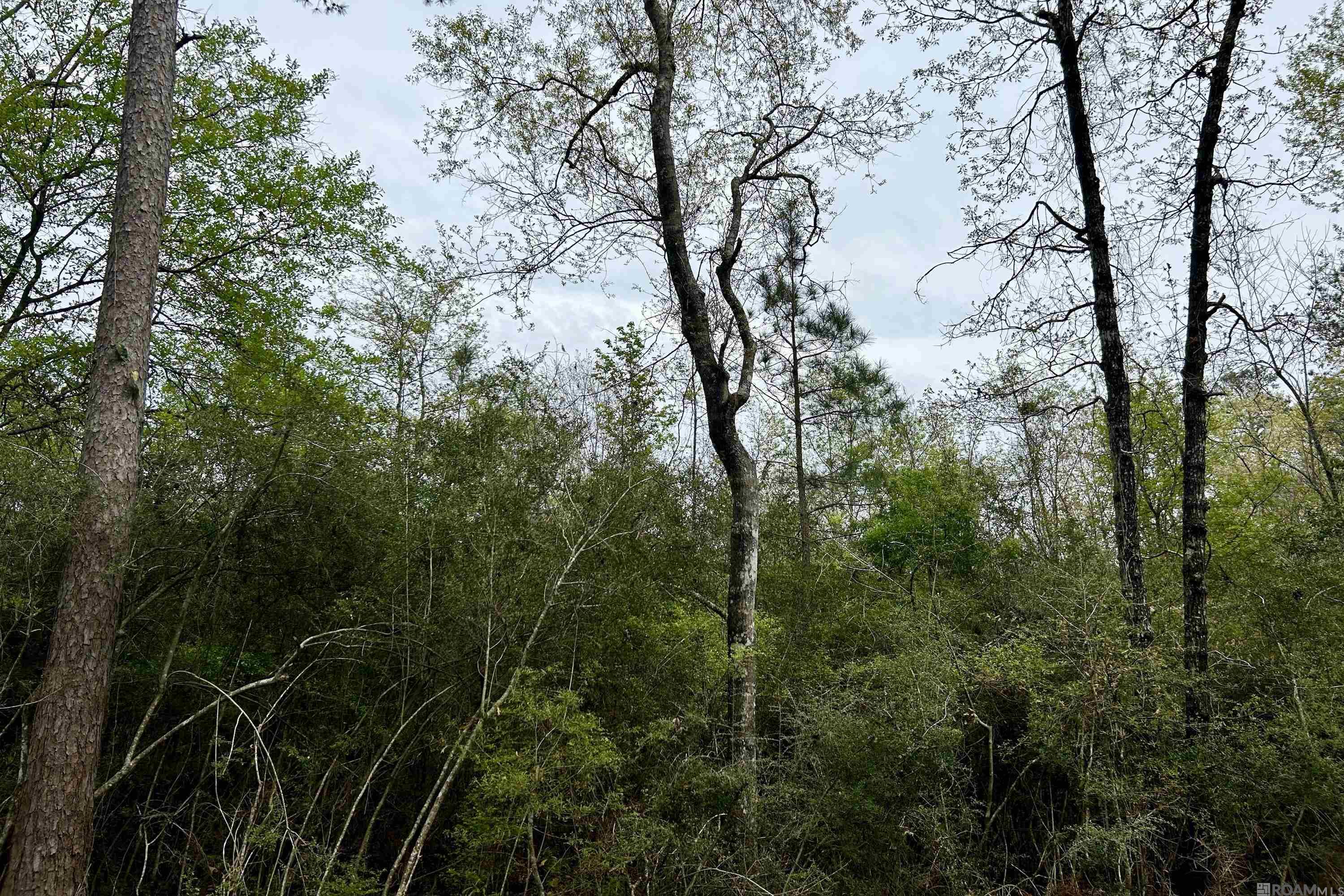 15 La Hwy 960, Clinton, Louisiana image 5