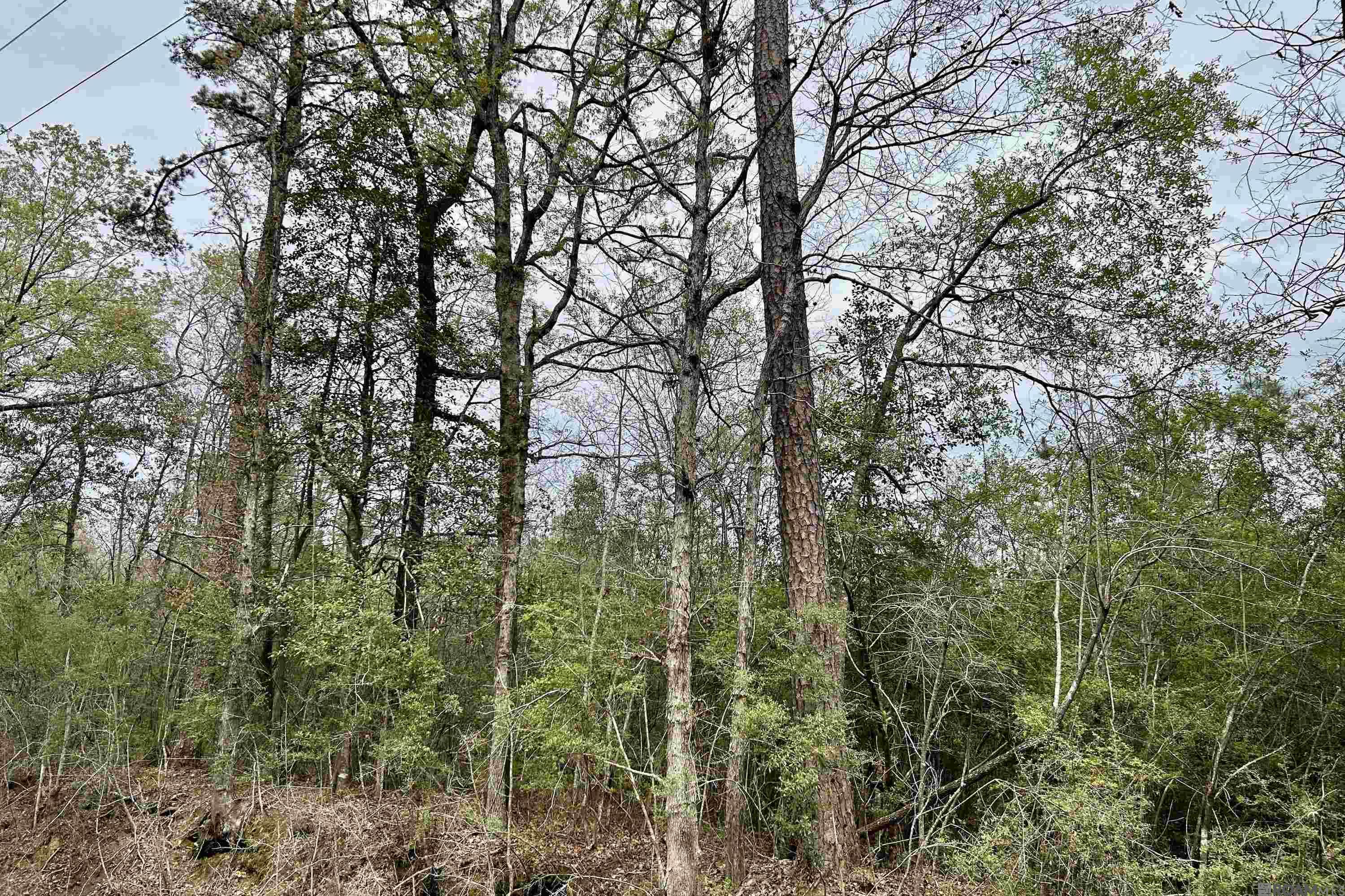 15 La Hwy 960, Clinton, Louisiana image 1