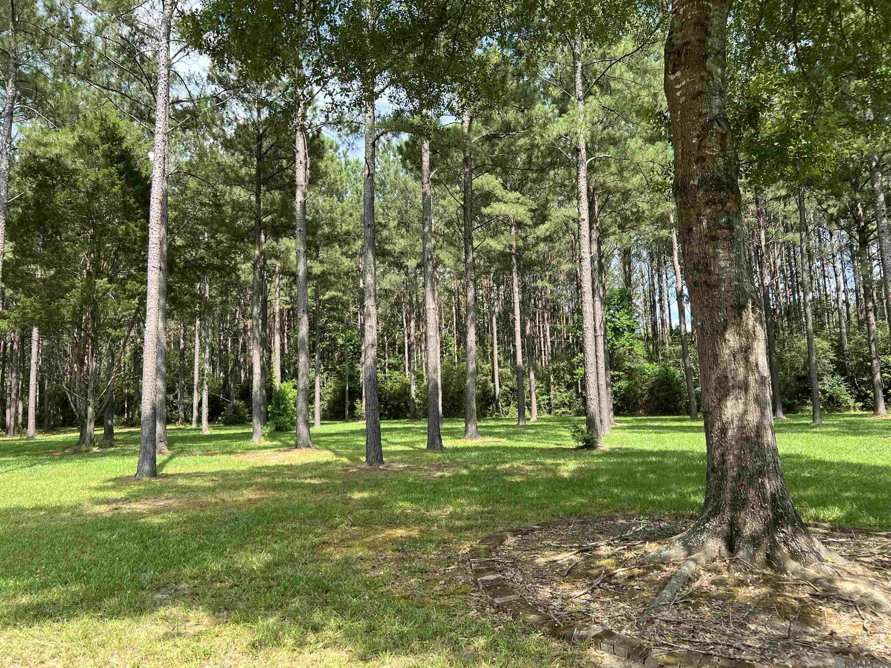 11976 Cox Rd, Clinton, Louisiana image 21
