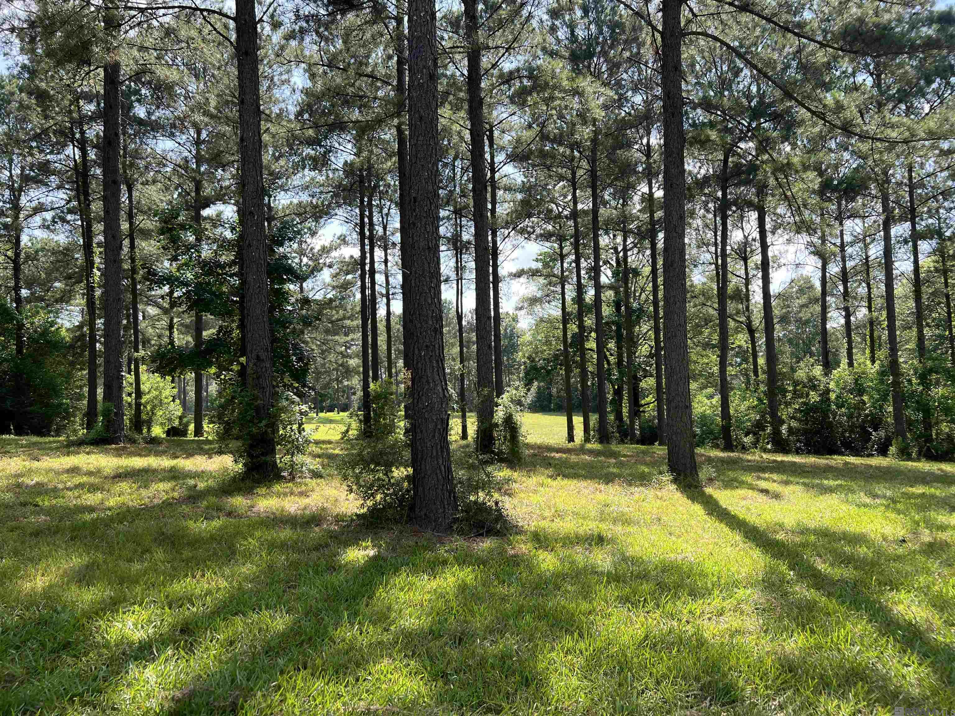 11976 Cox Rd, Clinton, Louisiana image 14
