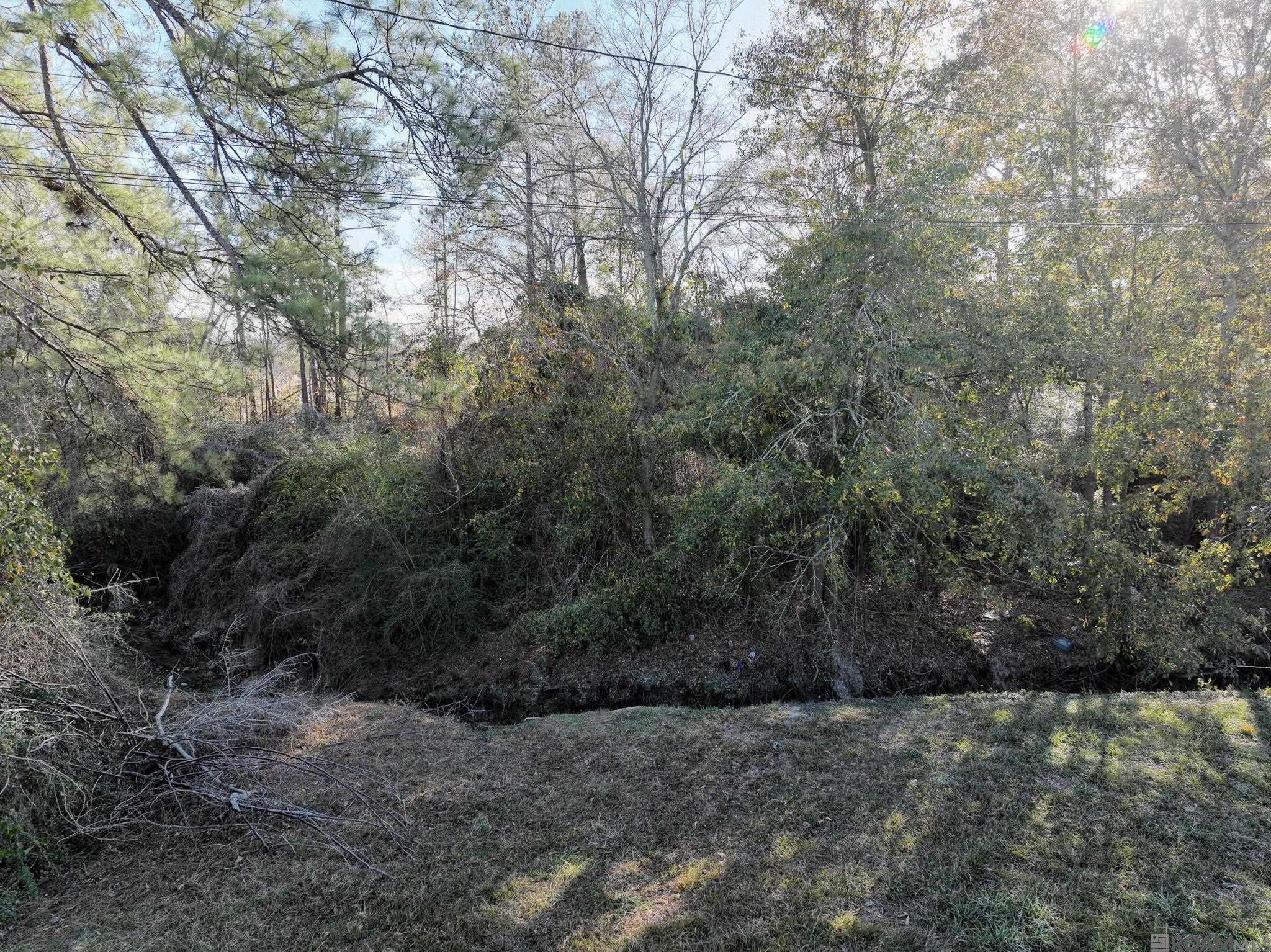 1412 N River Rd, Denham Springs, Louisiana image 1
