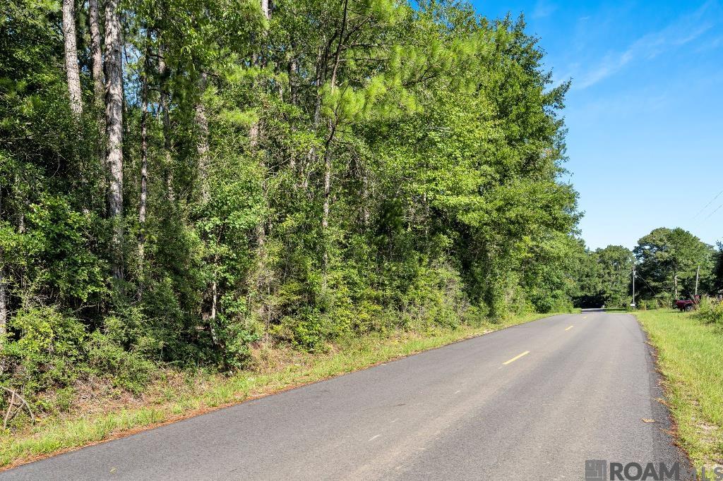 Johnny Martin Rd, Franklinton, Louisiana image 17
