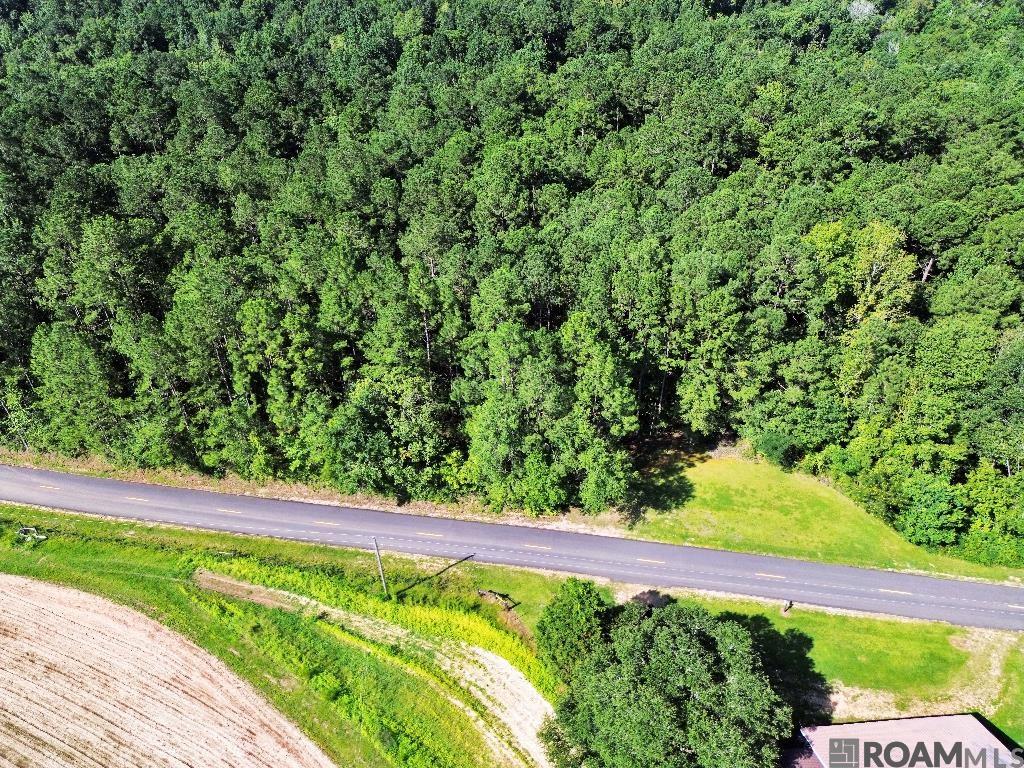 Johnny Martin Rd, Franklinton, Louisiana image 13