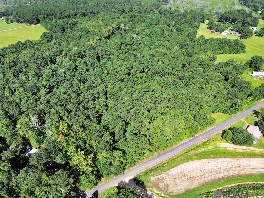 Johnny Martin Rd, Franklinton, Louisiana image 3