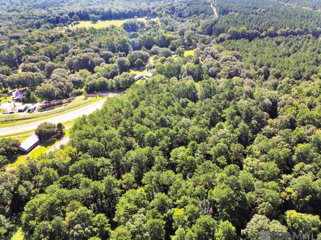 Johnny Martin Rd, Franklinton, Louisiana image 9