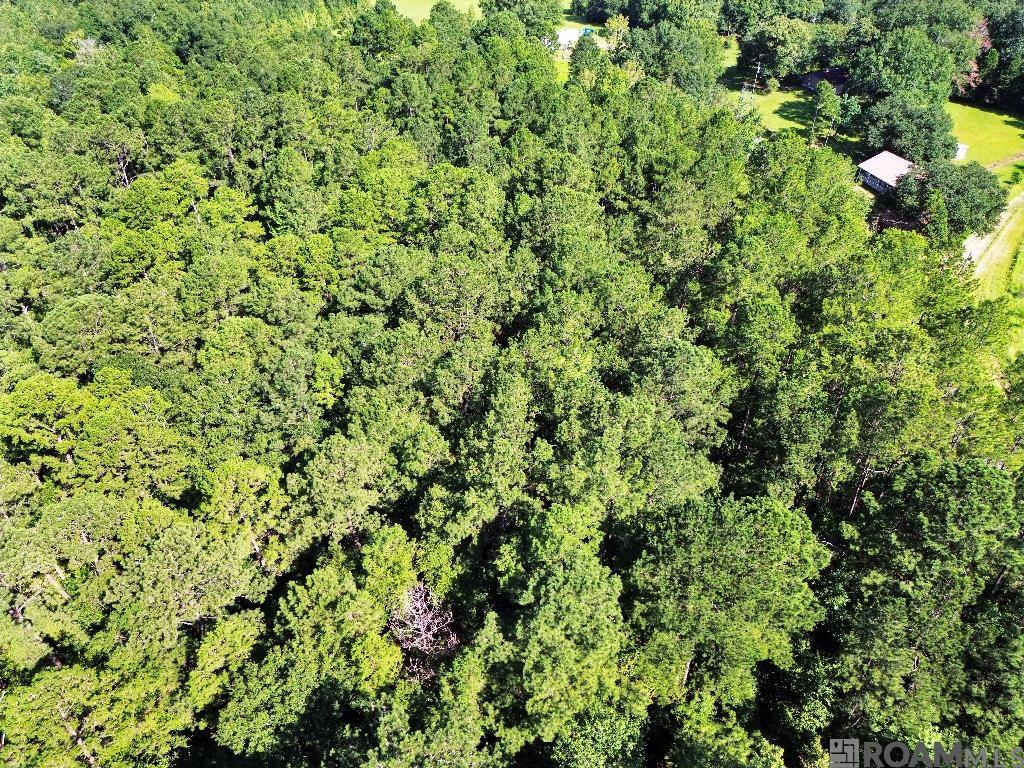 Johnny Martin Rd, Franklinton, Louisiana image 14
