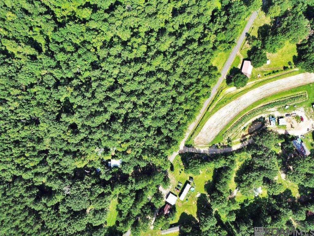 Johnny Martin Rd, Franklinton, Louisiana image 8