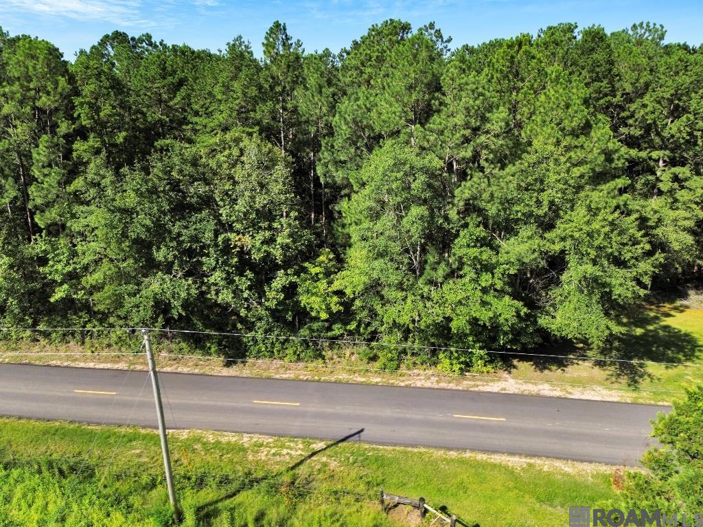 Johnny Martin Rd, Franklinton, Louisiana image 16