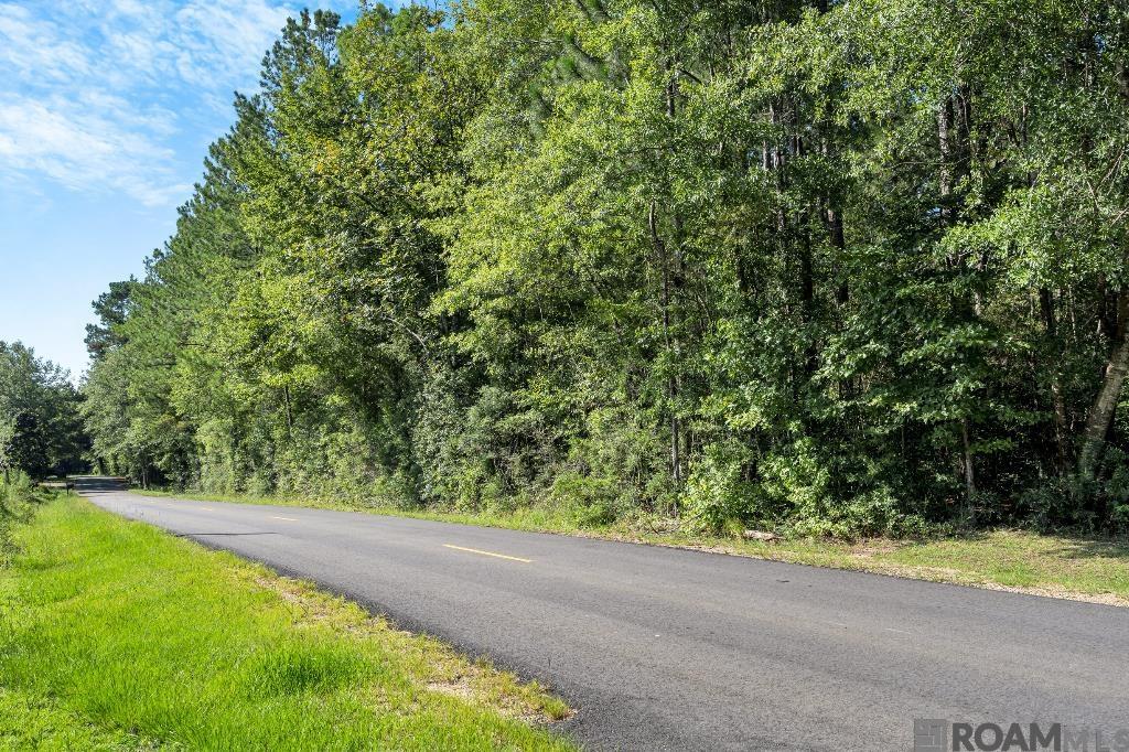 Johnny Martin Rd, Franklinton, Louisiana image 18