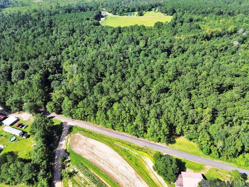Johnny Martin Rd, Franklinton, Louisiana image 12