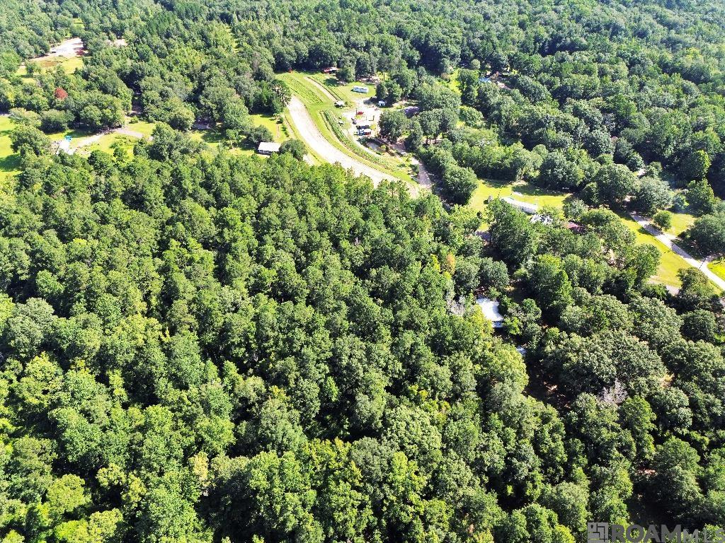 Johnny Martin Rd, Franklinton, Louisiana image 2