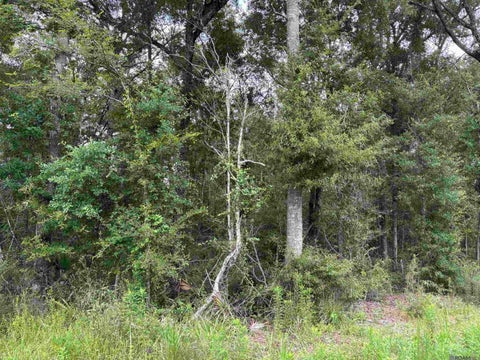 Vacant Land For Sale - TBD Duff Rd<br/> Walker, LA 70785