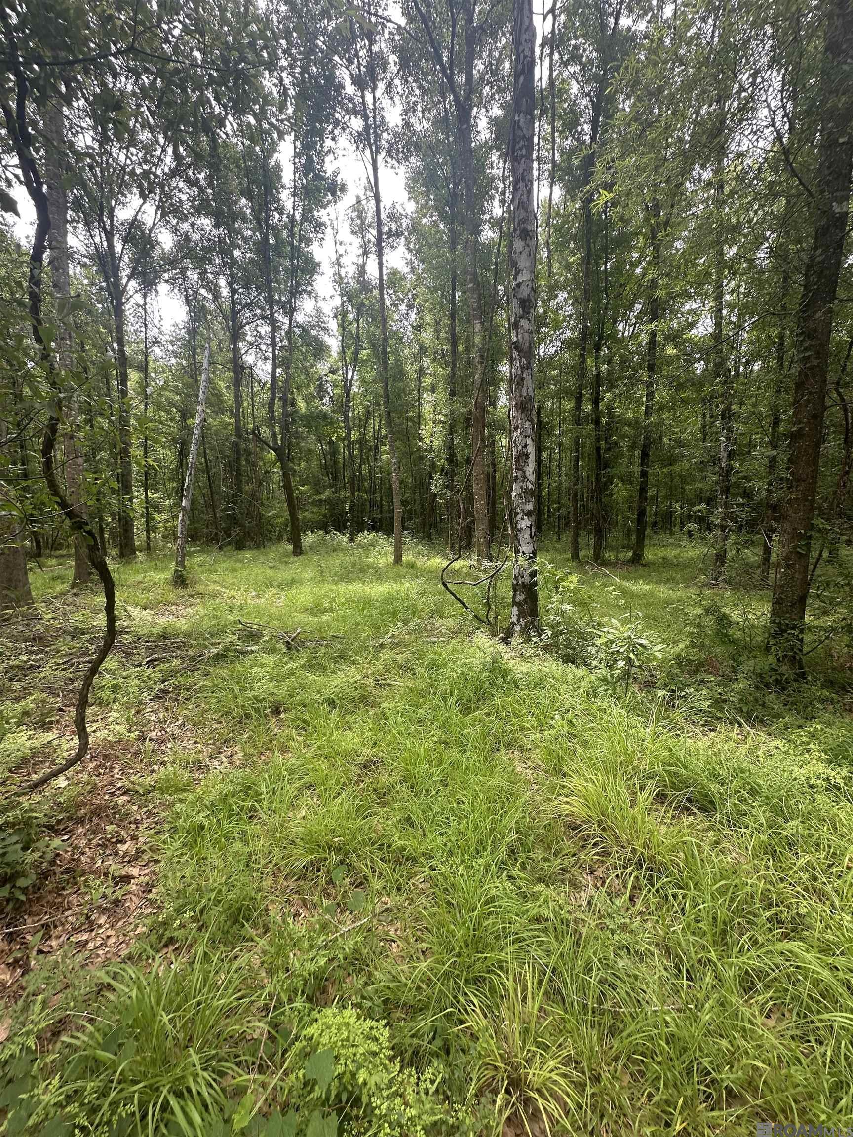 Lot SF-12 La Hwy 16, Denham Springs, Louisiana image 7