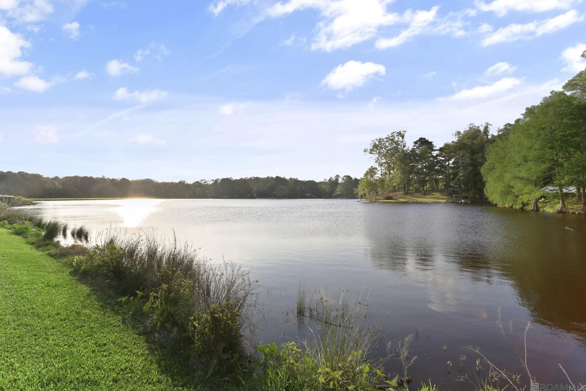 10585 New Dawn Ln, Saint Francisville, Louisiana image 33