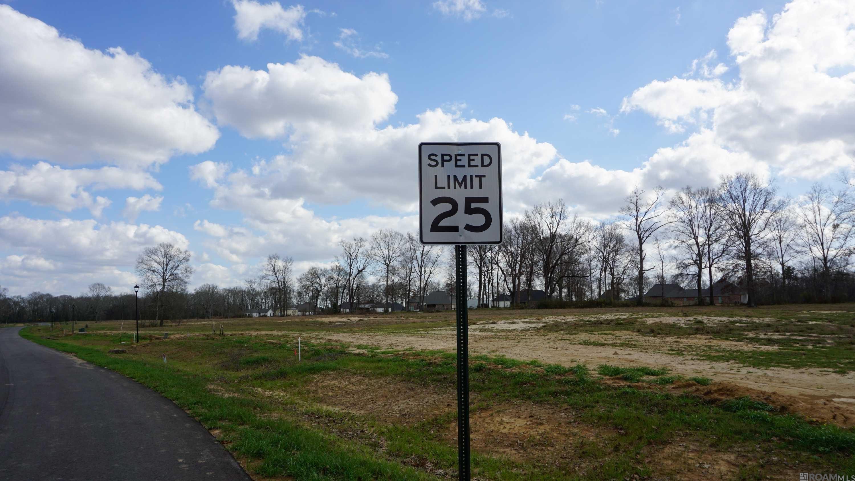 GranLake Lot 14 La Hwy 68, Jackson, Louisiana image 11