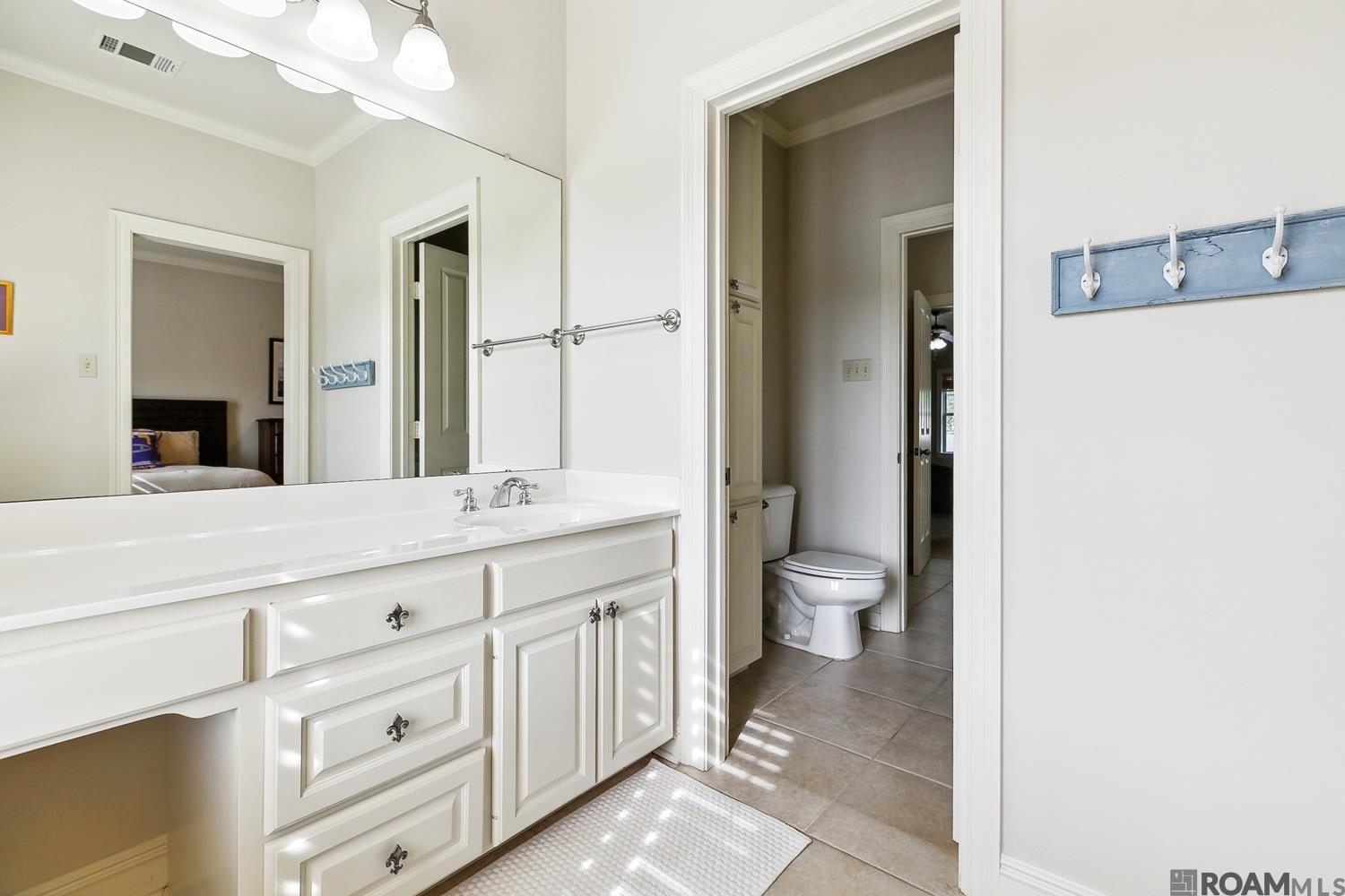10321 N Lake Estates Ave, Baton Rouge, Louisiana image 21