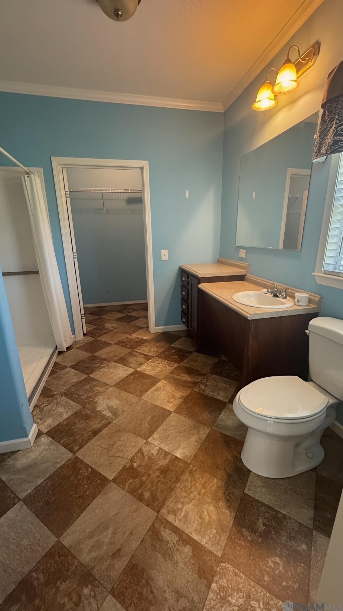 13800 Patin Dyke Rd, Ventress, Louisiana image 18