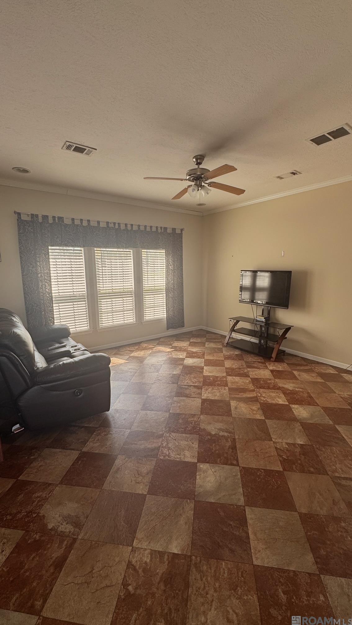 13800 Patin Dyke Rd, Ventress, Louisiana image 11