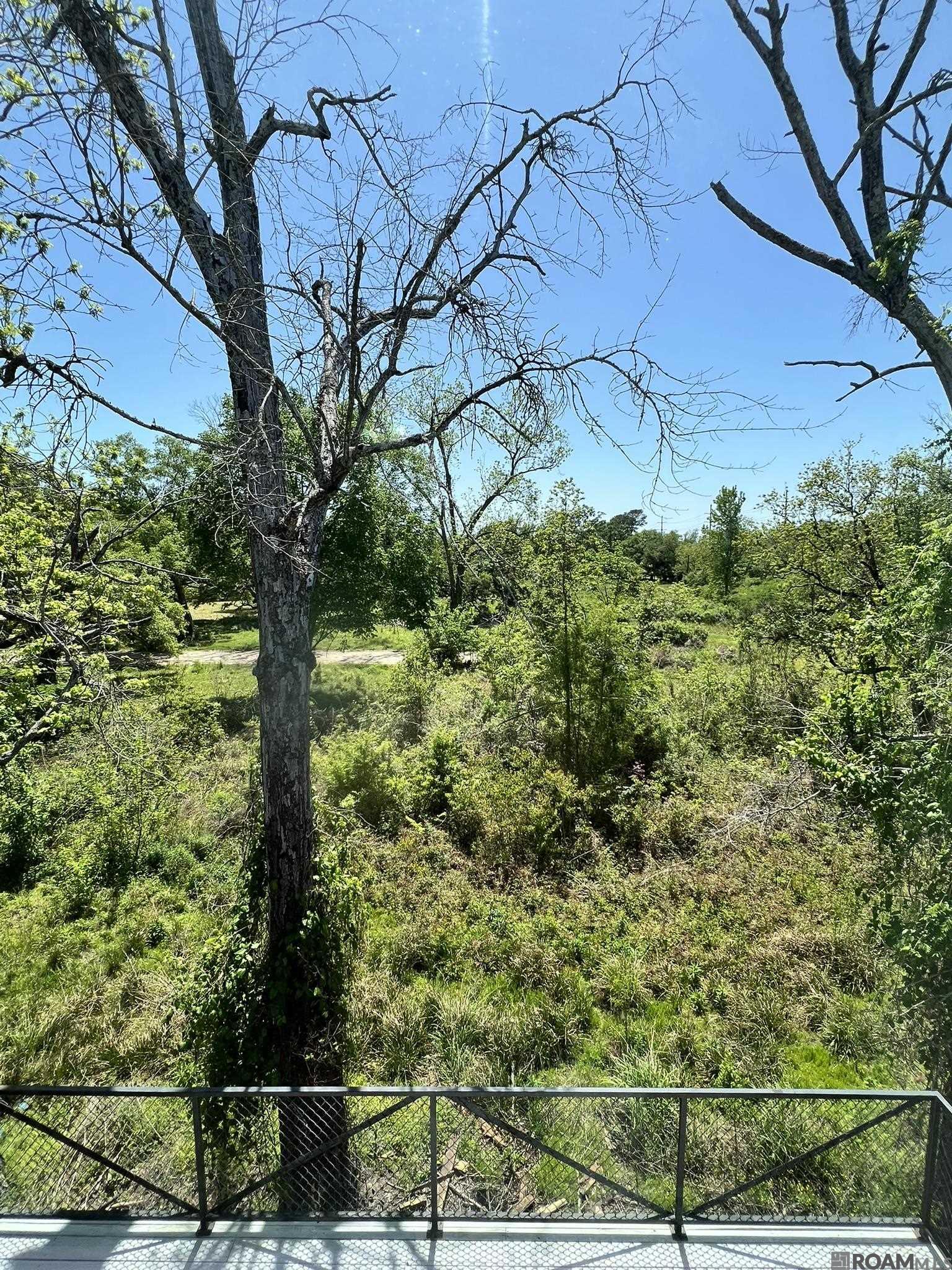 1720 Nicholson Dr #11, Baton Rouge, Louisiana image 28