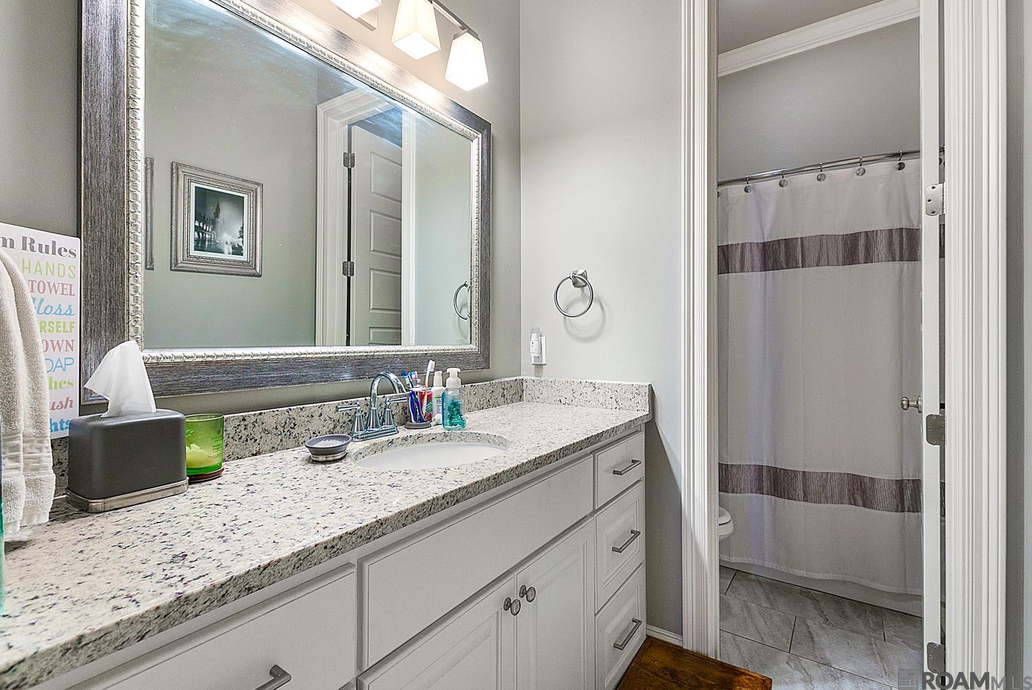 40283 Kapelle Ave, Prairieville, Louisiana image 14
