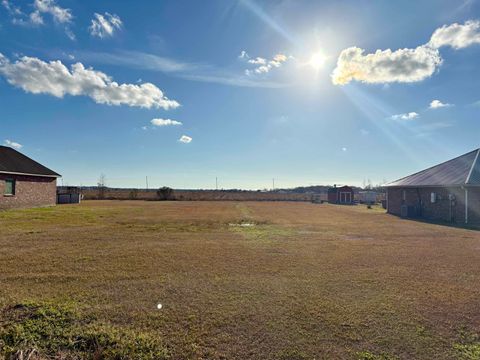 Vacant Land For Sale - 7223 Hwy 182<br/> Saint Mary County, Centerville, LA 70538