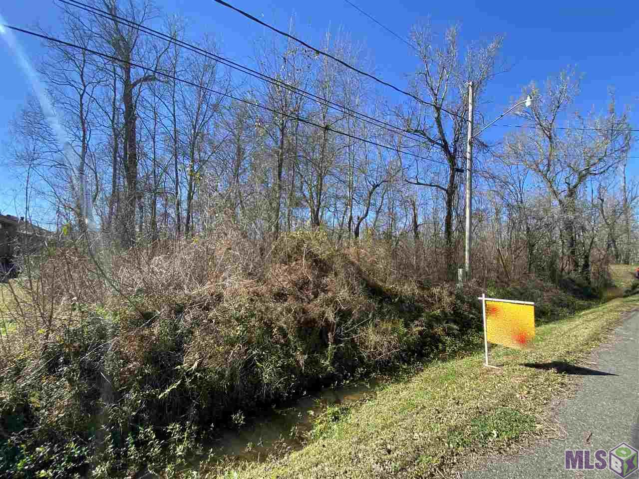 TBD Sidney Woods Rd, Holden, Louisiana image 1
