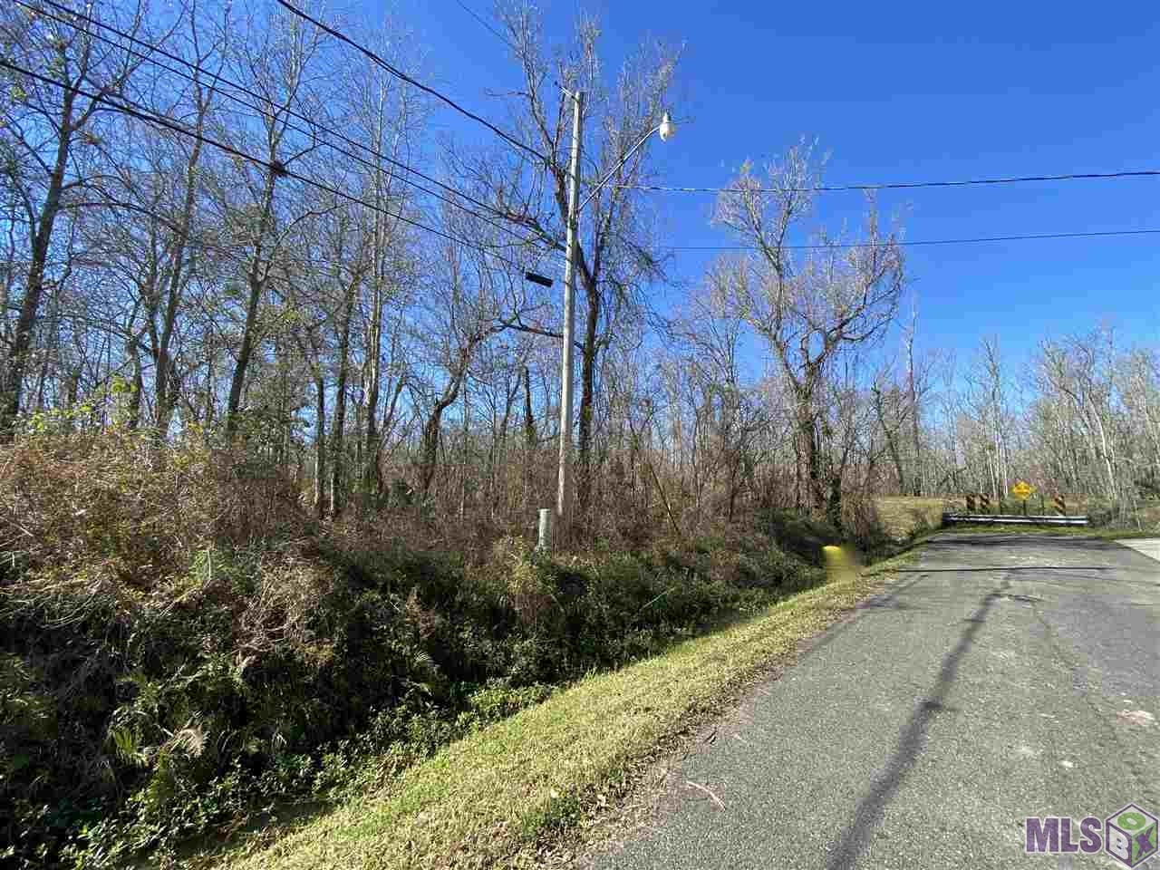 TBD Sidney Woods Rd, Holden, Louisiana image 2