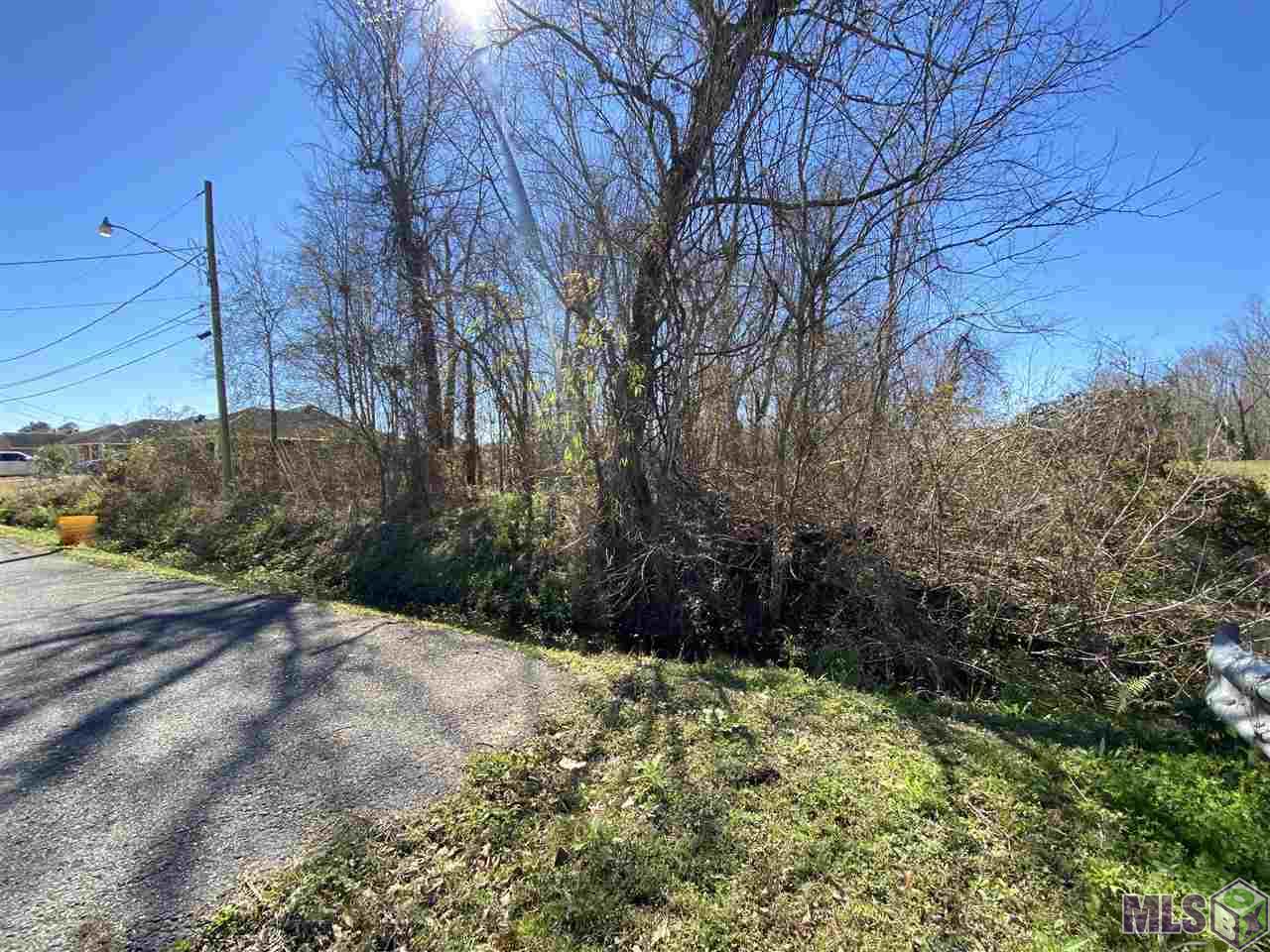 TBD Sidney Woods Rd, Holden, Louisiana image 4