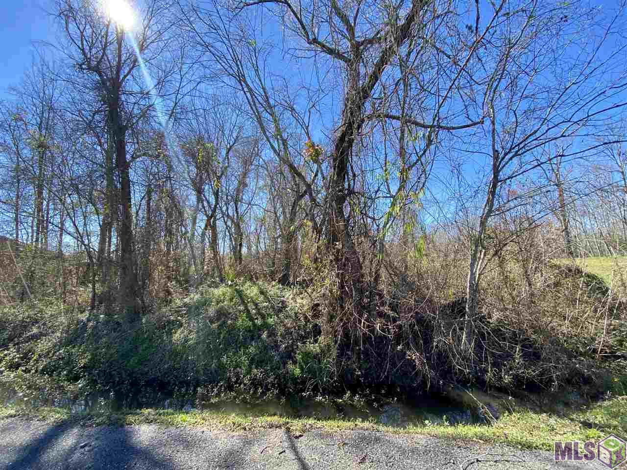 TBD Sidney Woods Rd, Holden, Louisiana image 5