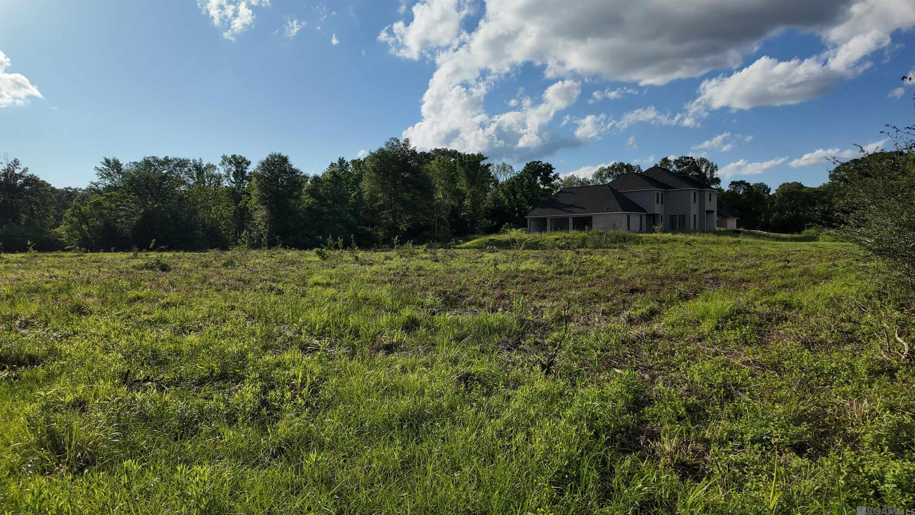 TBD Old Baker Zachary Rd, Baker, Louisiana image 4
