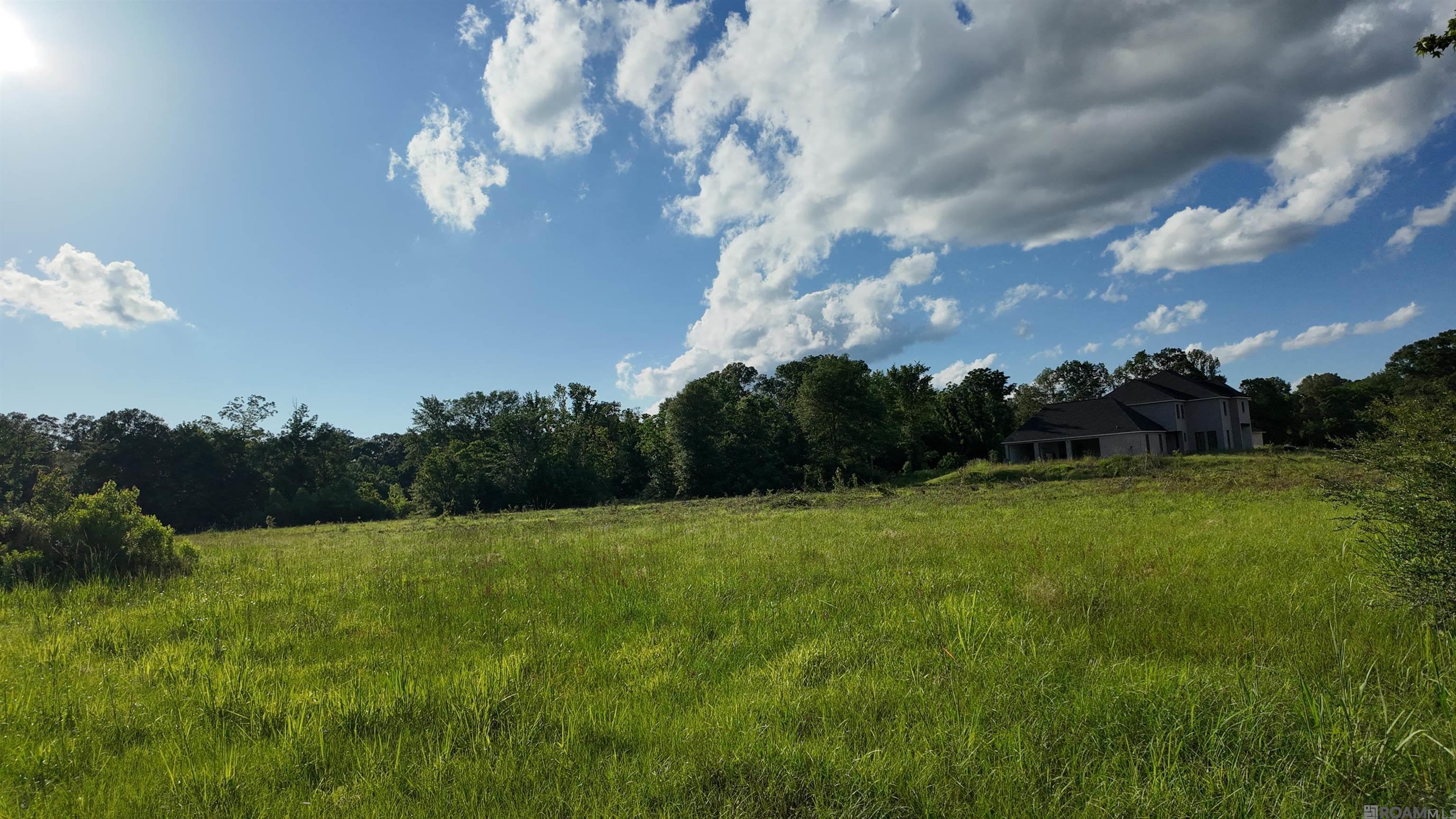 TBD Old Baker Zachary Rd, Baker, Louisiana image 6