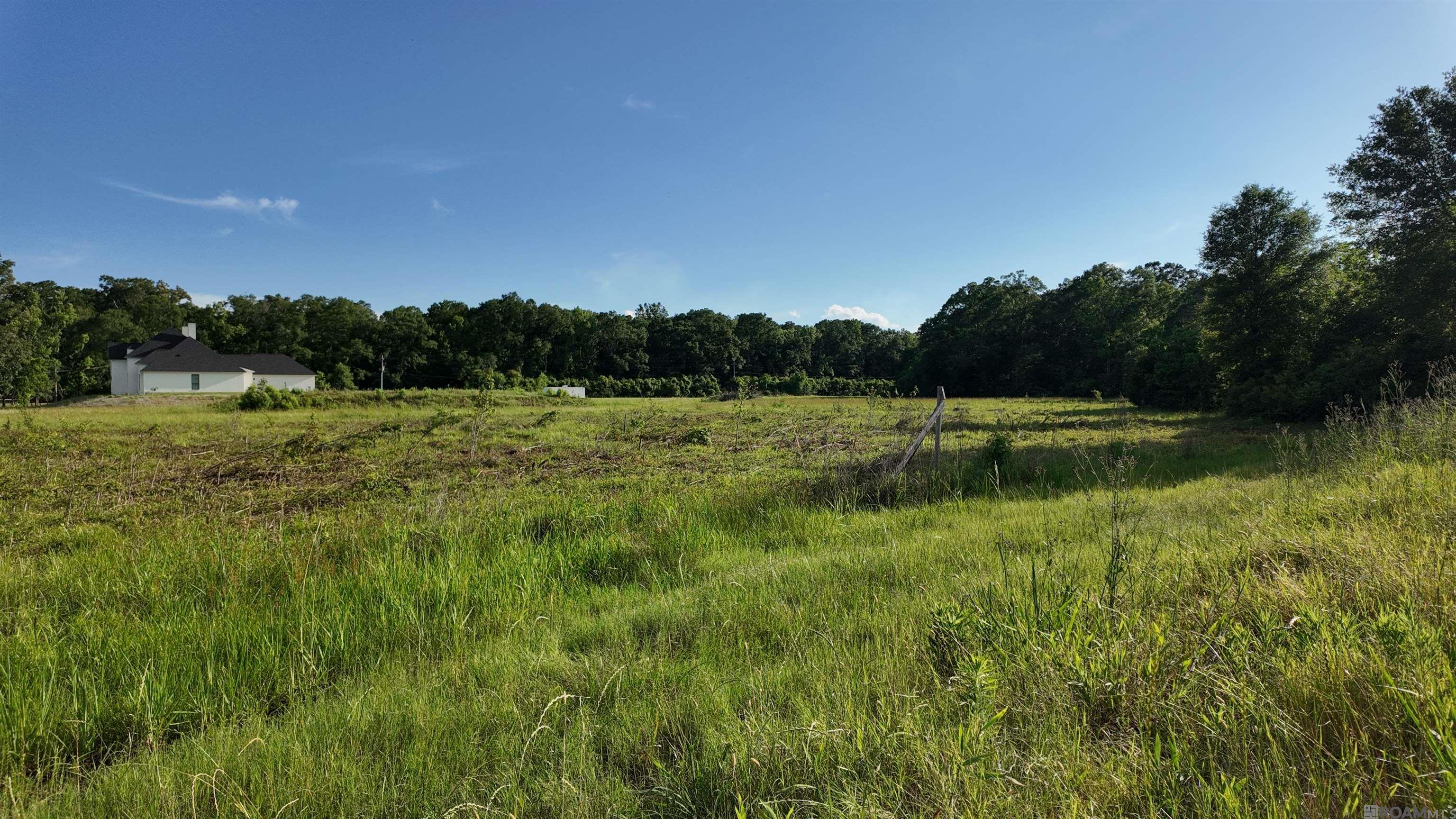 TBD Old Baker Zachary Rd, Baker, Louisiana image 1