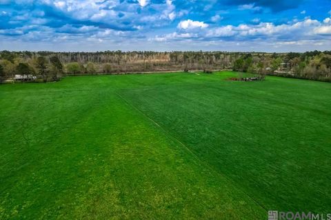 Vacant Land For Sale - La Hwy 1063<br/> Tangipahoa County, Independence, LA 70443