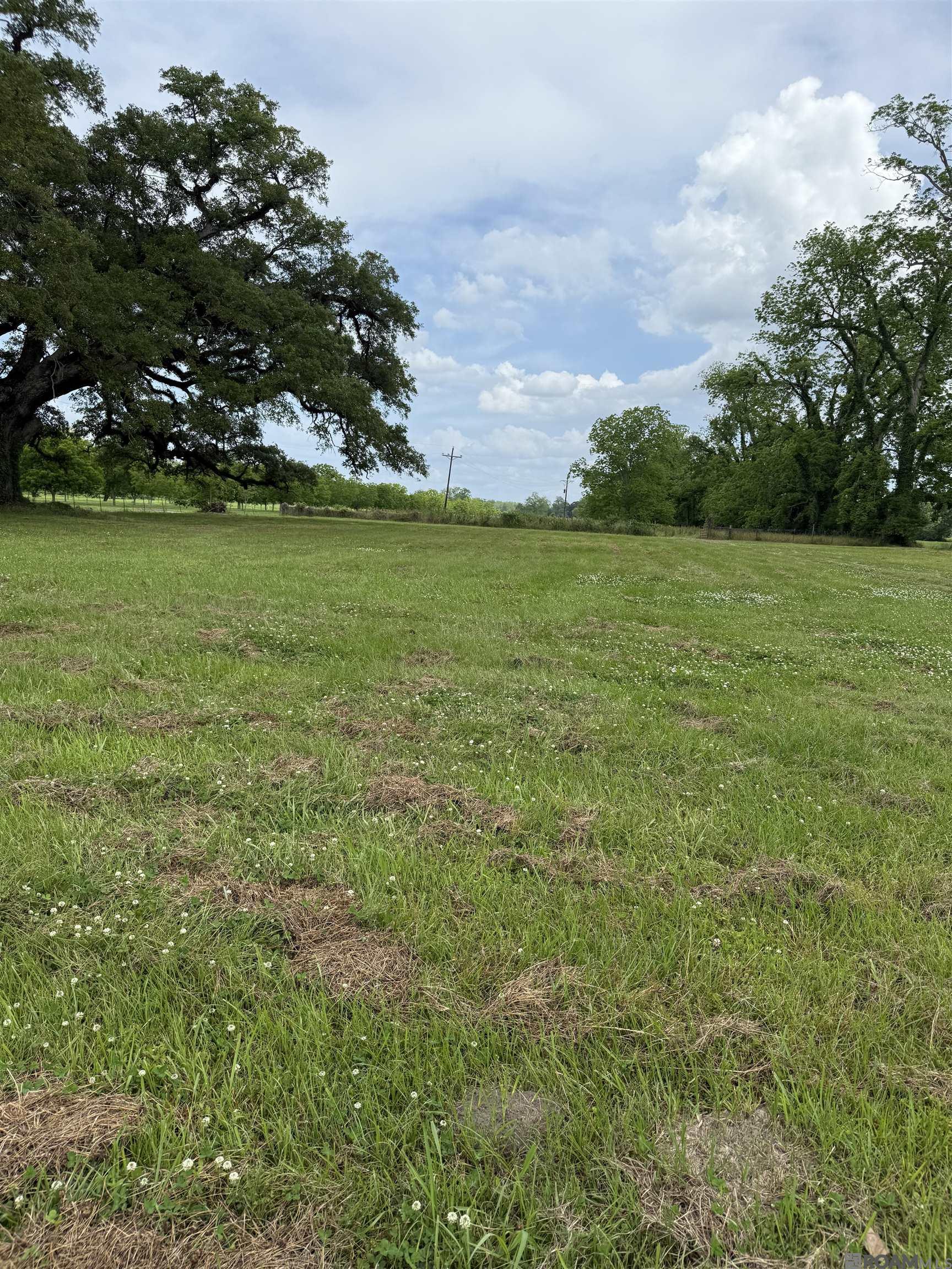 8730 Island Rd, Ventress, Louisiana image 4