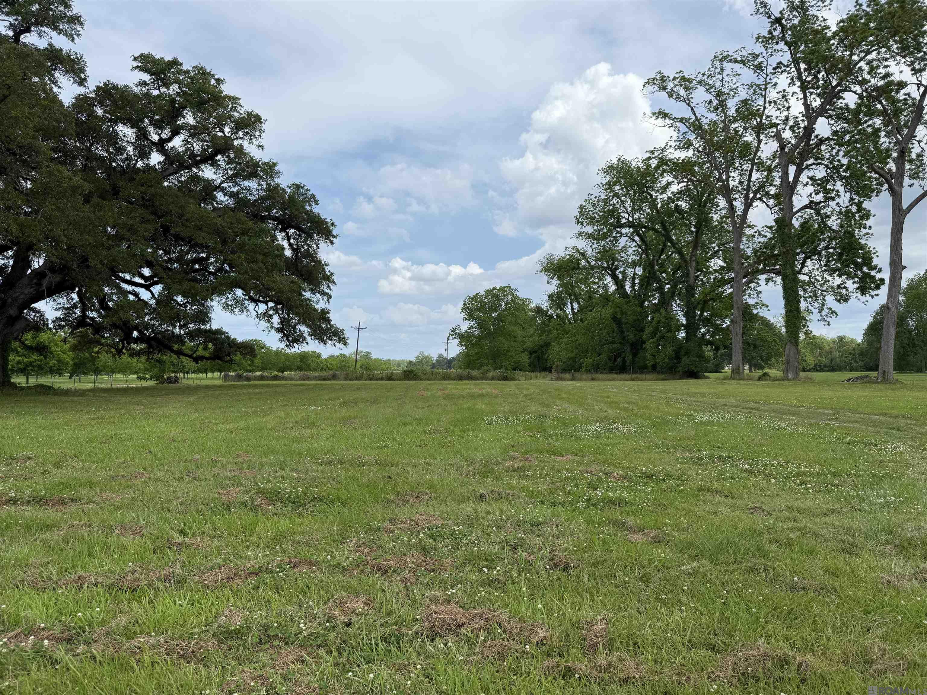 8730 Island Rd, Ventress, Louisiana image 1