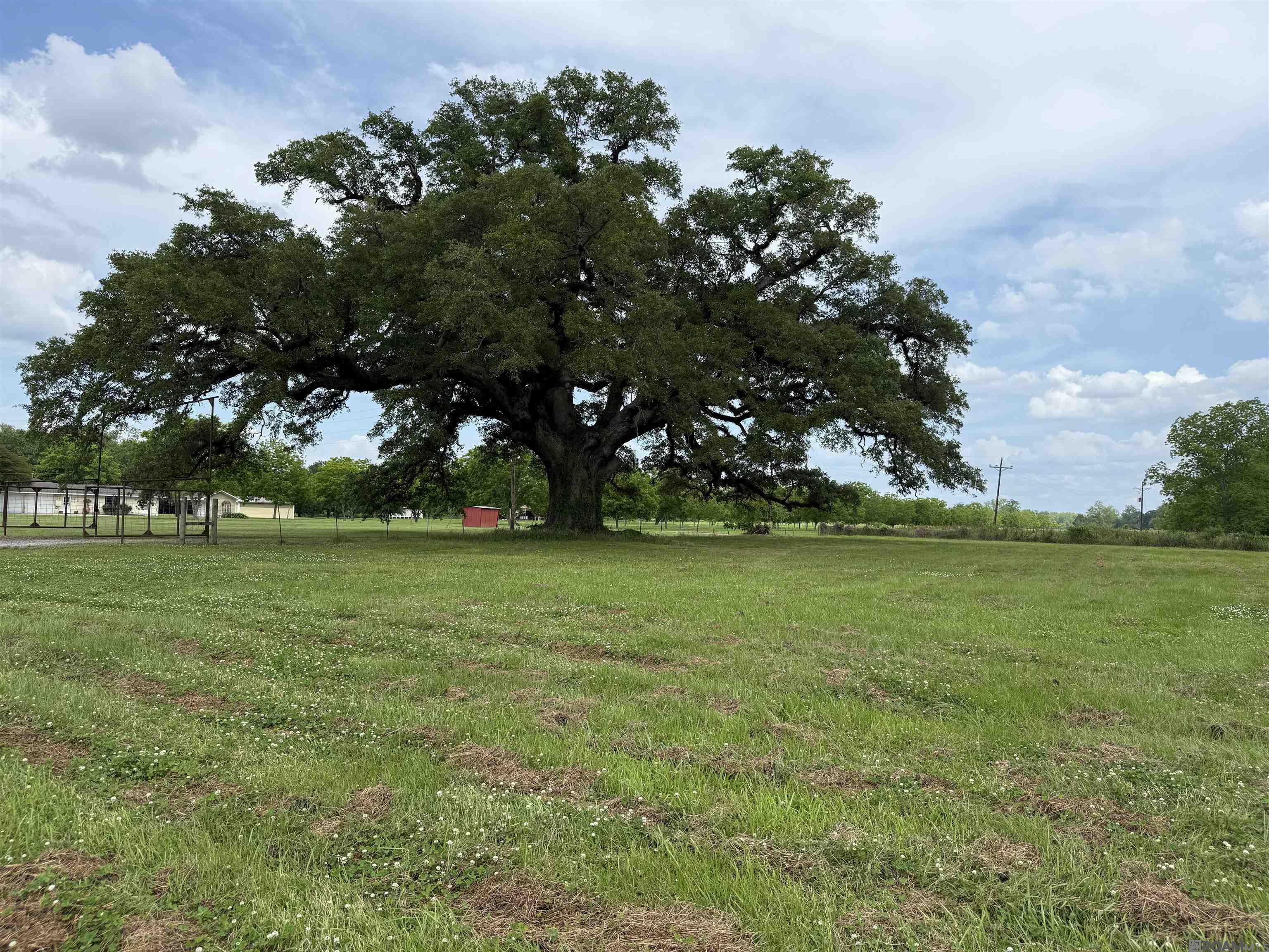 8730 Island Rd, Ventress, Louisiana image 2