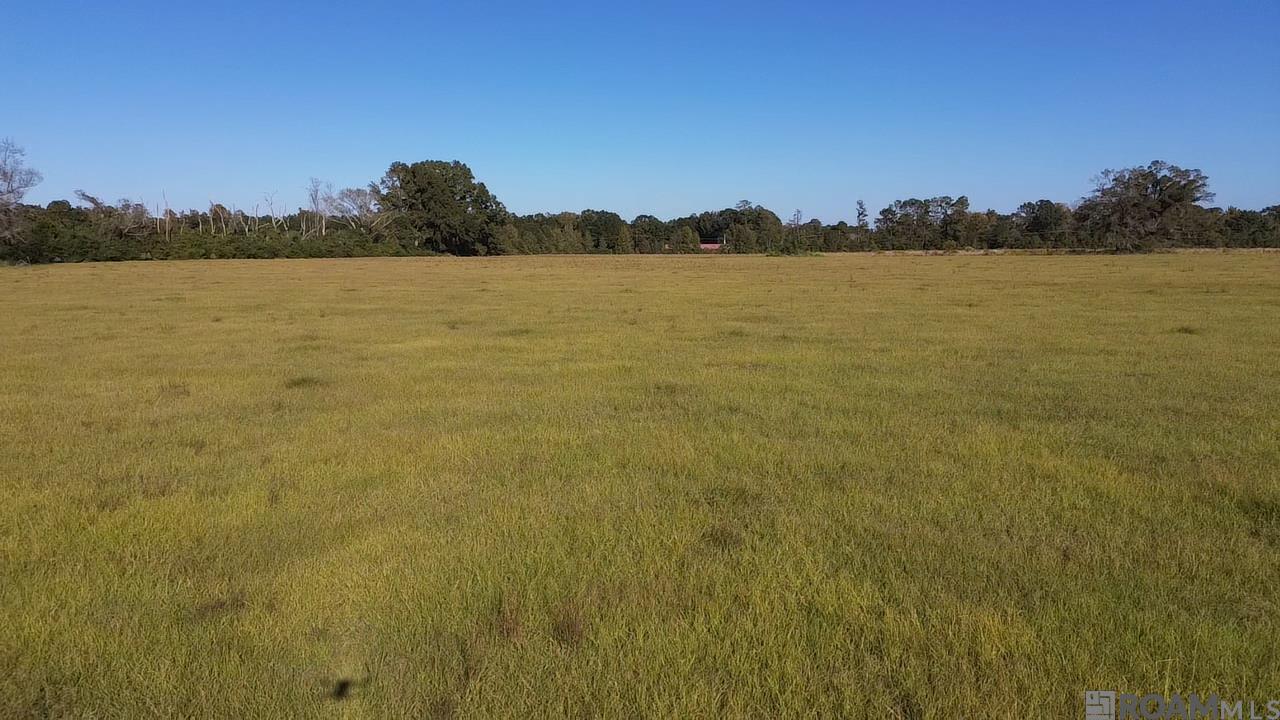 Tract 1-B Old Us 51 Highway, Amite, Louisiana image 6